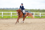 SBM_001964