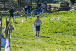 The Finish-2111