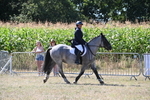 WJ6_8909