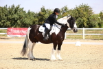 SBM_003693