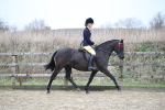 SBM_004724