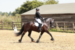 SBM_003450
