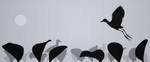 Saindo de cena / Fleeing the scene