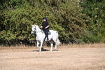 WJ6_6990