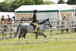 SBM_05393