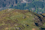 Lords Seat-4