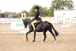 SBM_04250