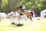 SBM_08161