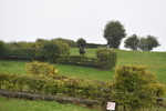 WJ5_7053