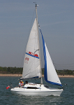 100522 PUFFIN 49 IMG_1622