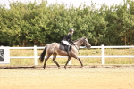 SBM_005750