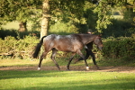 SBM_57541