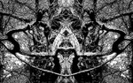 F30 Scary Tree (II)  8 x 5