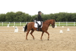 SBM_009611