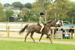 SBM_69954