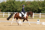 SBM_000384