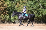 WJ6_7346