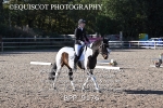 BPP_9176