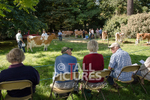 North Show_2014-15