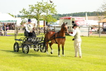 SBM_00291