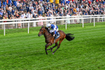 210826-Race 6-Benjamin Hornigold-0384