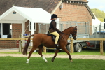 SBM_44631