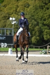 263-CARWARTHEN_HARRIER-Polly_Muirhead-WEDTrotUp+DR portfolio