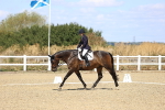SBM_013909