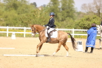 SBM_008458