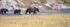US_2022_056