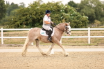SBM_006419