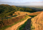 Herefordshire Beacon