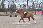 BPP_9213