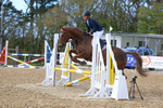 Pendarves British Showjumping and Club 12 April 2026 portfolio