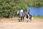 WJ6_8209