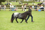 SBM_62788