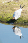 20140517-3K8A1336