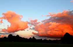 Landscapes, Places, and Things in Nature portfolio