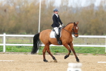SBM_004147