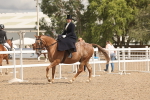 SBM_06363