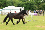 SBM_00485