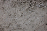 SBM_006491