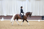 SBM_000713
