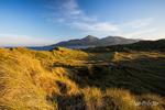 Murlough Sand Dunes to the Mourne Mountains