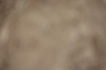 20260504-1194