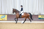 SBM_007262