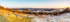 IMG_24241-Newlands Corner