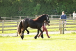 SBM_00688