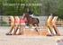 BPP_4759