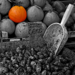 RX100 Catania 40